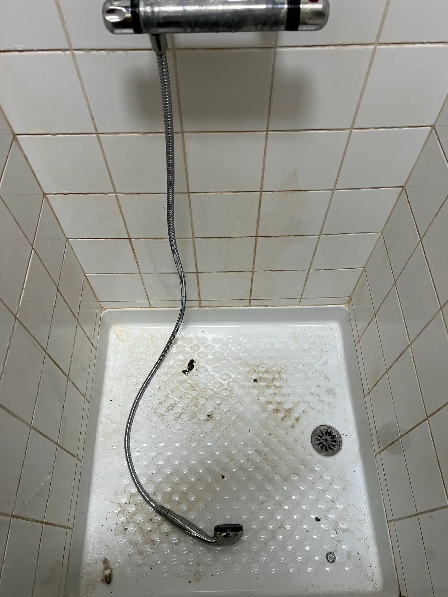 Avant nettoyage — Bac de douche entartré et encrassé — détartrage complet, joints compris. Éclat du Sud, Coursan.