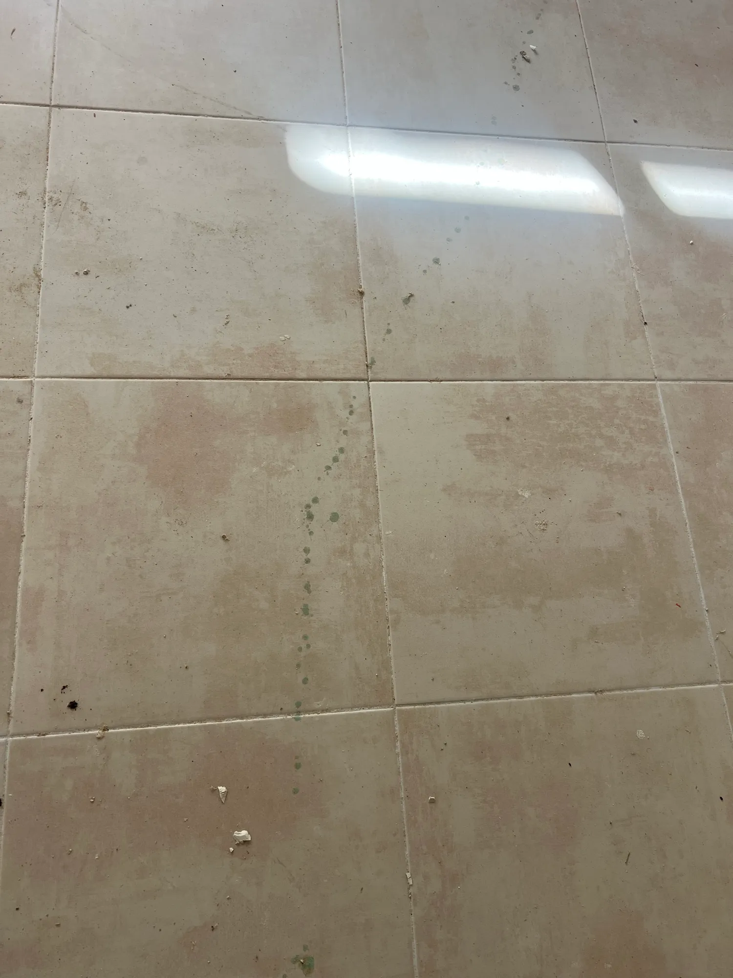 Voile de laitance sur toute la surface avant traitement. — Éclat du Sud, Ginestas.