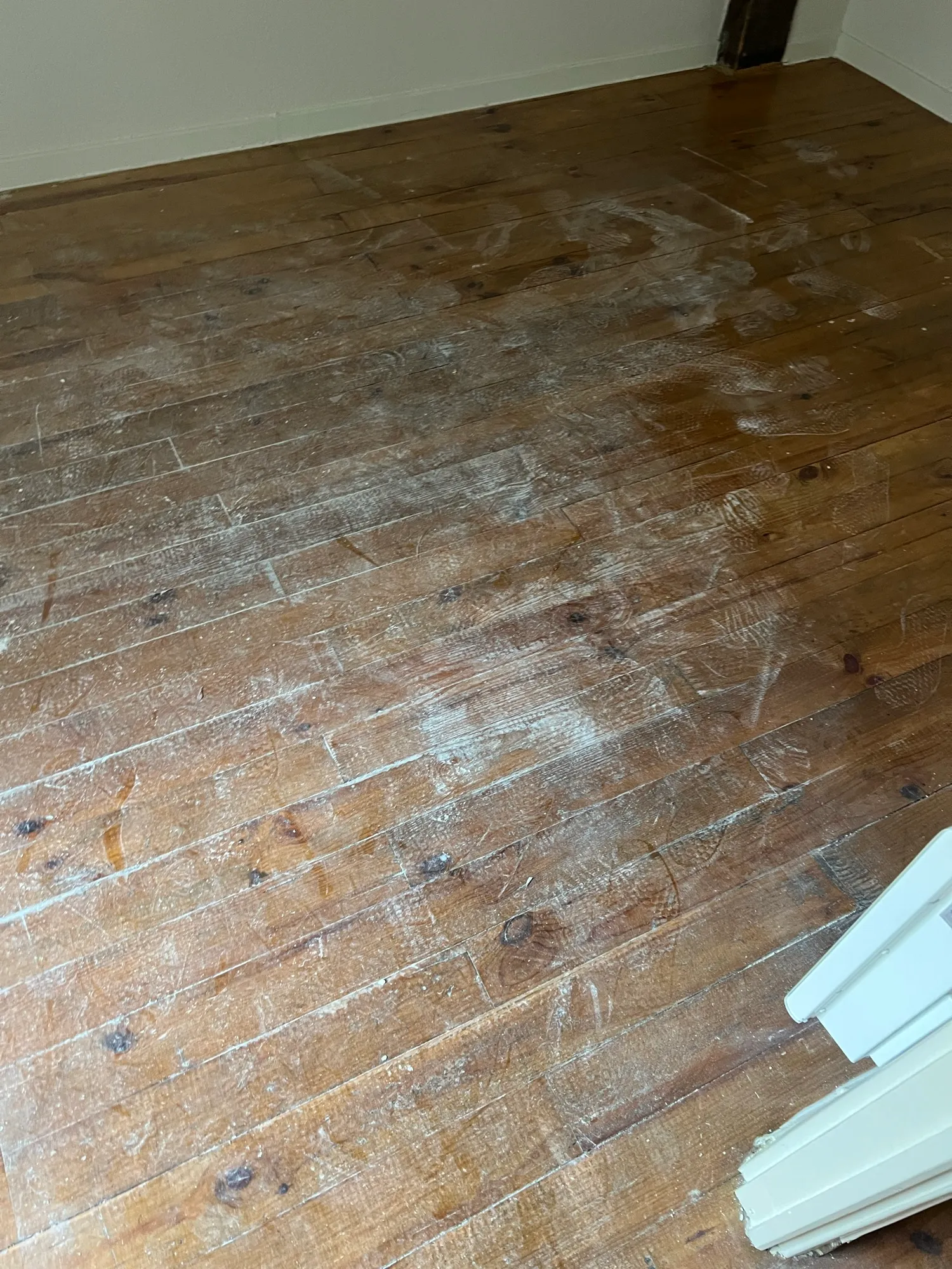 Avant nettoyage — Parquet ancien sous la poussière de travaux — dépoussiéré, lavé et nourri. Éclat du Sud, Coursan.